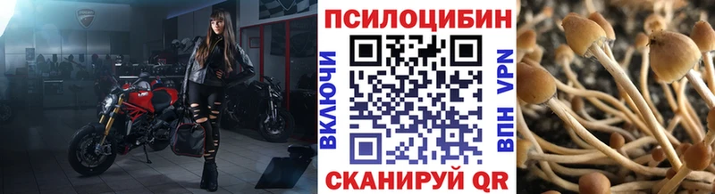Псилоцибиновые грибы ЛСД  Мончегорск 